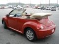 Salsa Red - New Beetle S Convertible Photo No. 6