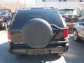 1996 Onyx Black Chevrolet Blazer LS 4x4  photo #6