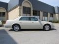 Vanille Latte Metallic - DTS Premium Photo No. 7