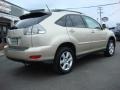 2004 Savannah Beige Metallic Lexus RX 330 AWD  photo #6