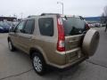 2005 Sahara Sand Metallic Honda CR-V Special Edition 4WD  photo #2