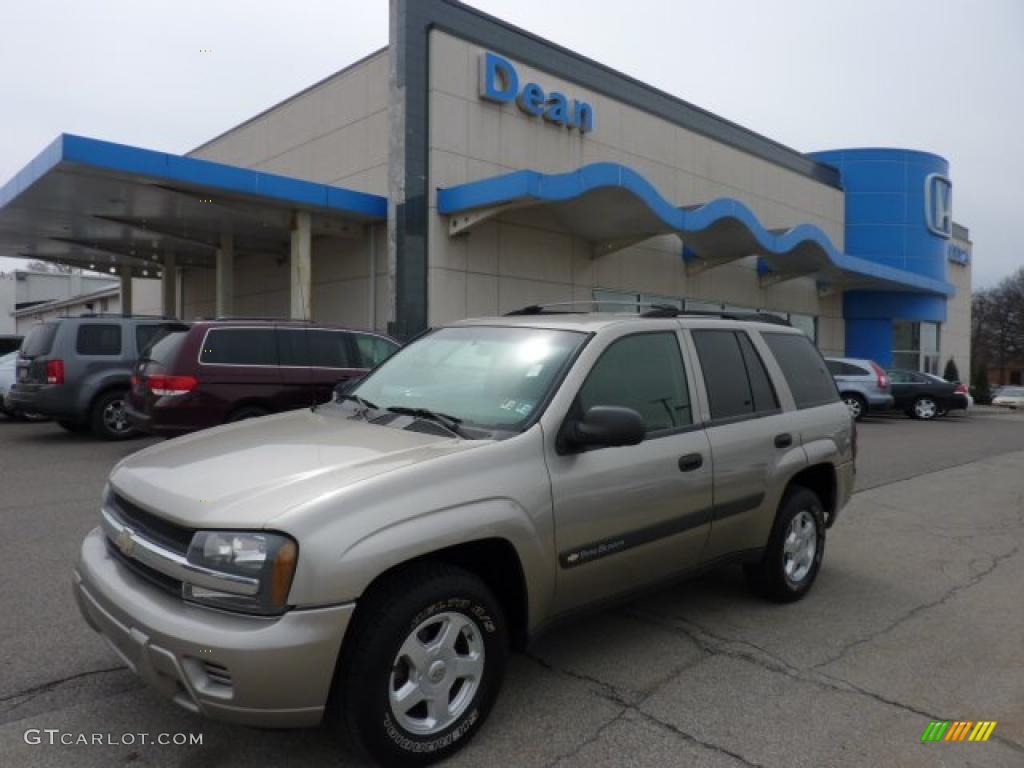 2003 TrailBlazer LS 4x4 - Light Pewter Metallic / Medium Pewter photo #1