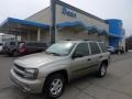 2003 Light Pewter Metallic Chevrolet TrailBlazer LS 4x4  photo #1