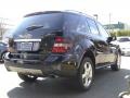 Black - ML 350 4Matic Photo No. 5