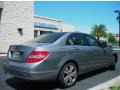 2008 Palladium Silver Metallic Mercedes-Benz C 300 Luxury  photo #6