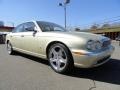 2006 Winter Gold Metallic Jaguar XJ Vanden Plas  photo #8