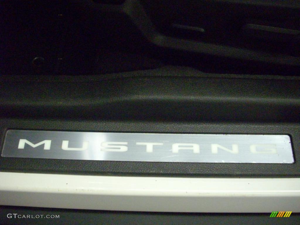2010 Mustang V6 Convertible - Performance White / Saddle photo #34