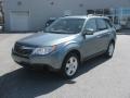 Sage Green Metallic 2009 Subaru Forester 2.5 X Premium Exterior