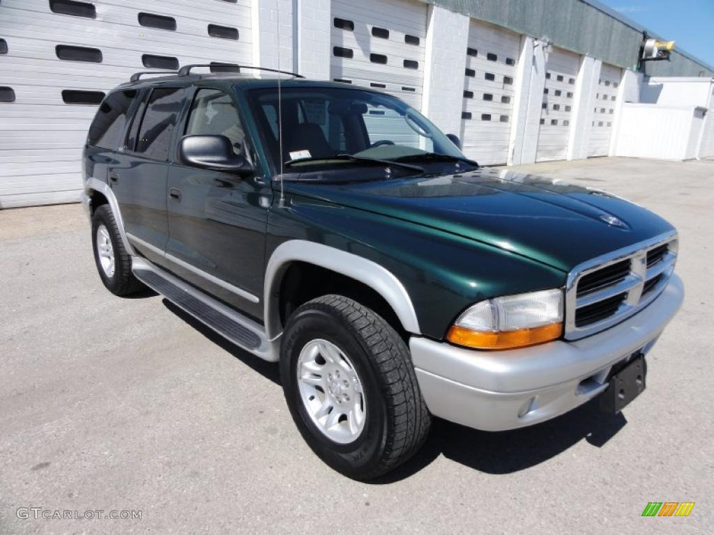 2002 Durango SLT 4x4 - Forest Green Pearl / Sandstone photo #4