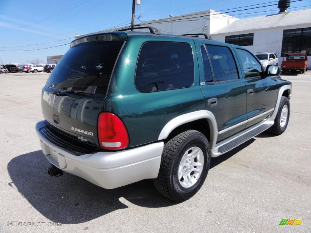 2002 Durango SLT 4x4 - Forest Green Pearl / Sandstone photo #8