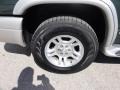 2002 Dodge Durango SLT 4x4 Wheel and Tire Photo