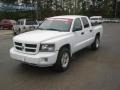 2010 Stone White Dodge Dakota Big Horn Crew Cab #47252116