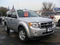 2009 Brilliant Silver Metallic Ford Escape XLT V6 4WD  photo #3