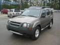 Granite Metallic - Xterra XE V6 Photo No. 1