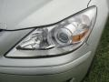 Platinum Metallic - Genesis 4.6 Sedan Photo No. 9