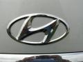 2011 Platinum Metallic Hyundai Genesis 4.6 Sedan  photo #15