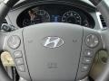 2011 Platinum Metallic Hyundai Genesis 4.6 Sedan  photo #35
