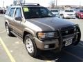 2002 Bronzed Gray Metallic Nissan Pathfinder LE 4x4  photo #9