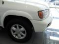 Aspen White Pearl Glow - Pathfinder LE Photo No. 11