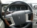 Silver Birch Metallic - MKZ Sedan Photo No. 23