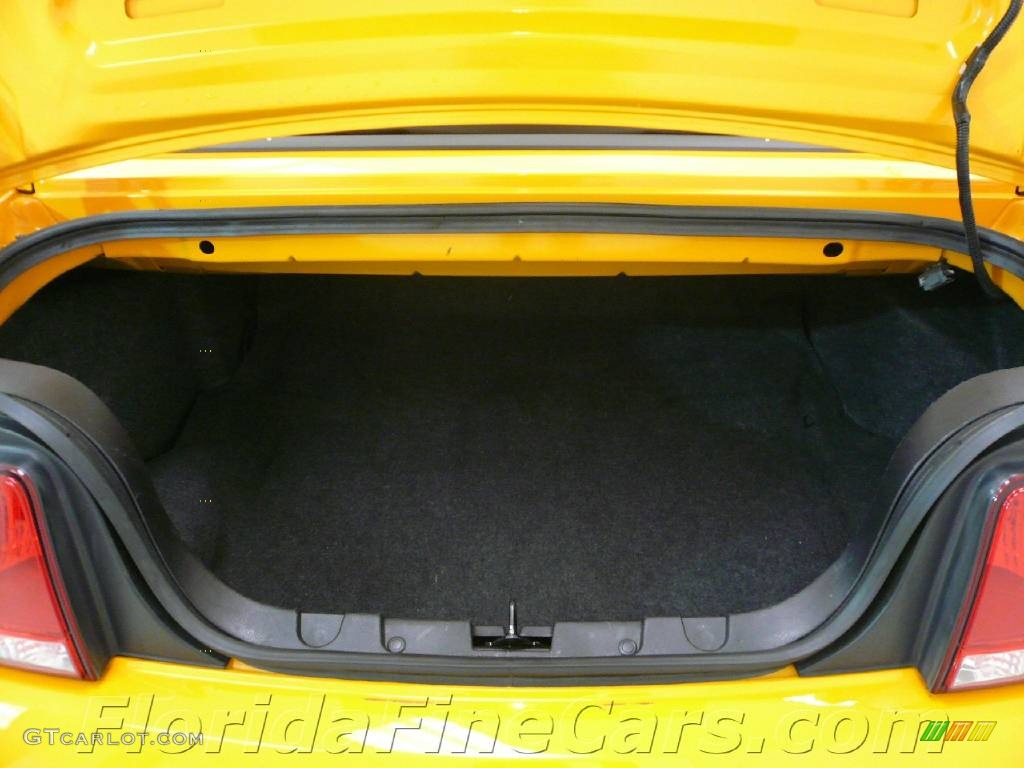 2007 Mustang V6 Premium Convertible - Grabber Orange / Dark Charcoal photo #11