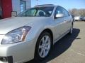 Radiant Silver Metallic - Maxima 3.5 SE Photo No. 3