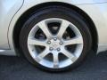 Radiant Silver Metallic - Maxima 3.5 SE Photo No. 34