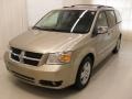 Light Sandstone Metallic - Grand Caravan SXT Photo No. 1