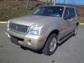 Light French Silk Metallic - Mountaineer Premier AWD Photo No. 1