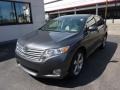 Magnetic Gray Metallic - Venza V6 AWD Photo No. 11