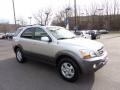 Bright Silver - Sorento EX 4x4 Photo No. 5
