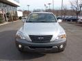 Bright Silver - Sorento EX 4x4 Photo No. 6