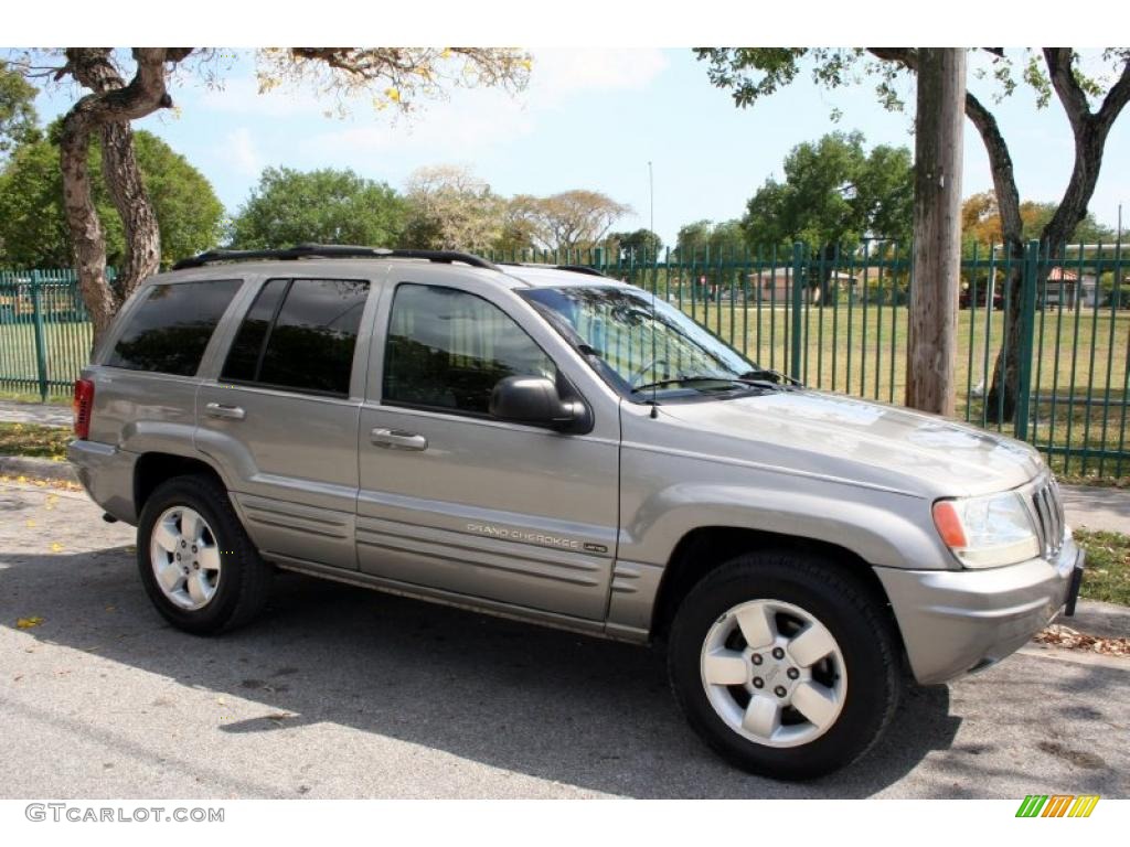 2001 Grand Cherokee Limited 4x4 - Silverstone Metallic / Agate/Light Taupe photo #11