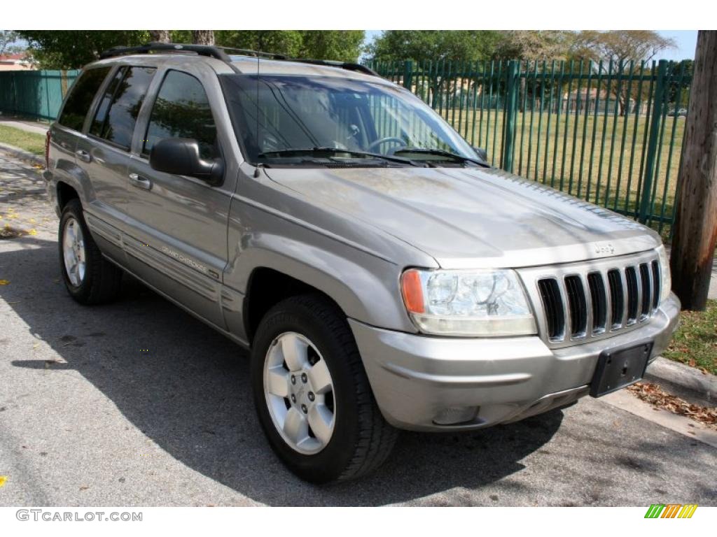 2001 Grand Cherokee Limited 4x4 - Silverstone Metallic / Agate/Light Taupe photo #13