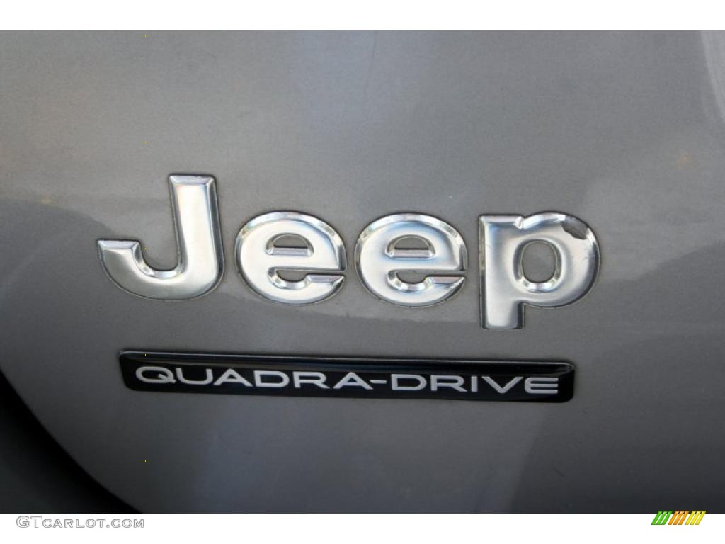 2001 Grand Cherokee Limited 4x4 - Silverstone Metallic / Agate/Light Taupe photo #14