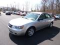 Bright Silver - Sonata GLS V6 Photo No. 3