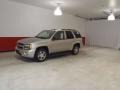 Silverstone Metallic - TrailBlazer LT 4x4 Photo No. 7