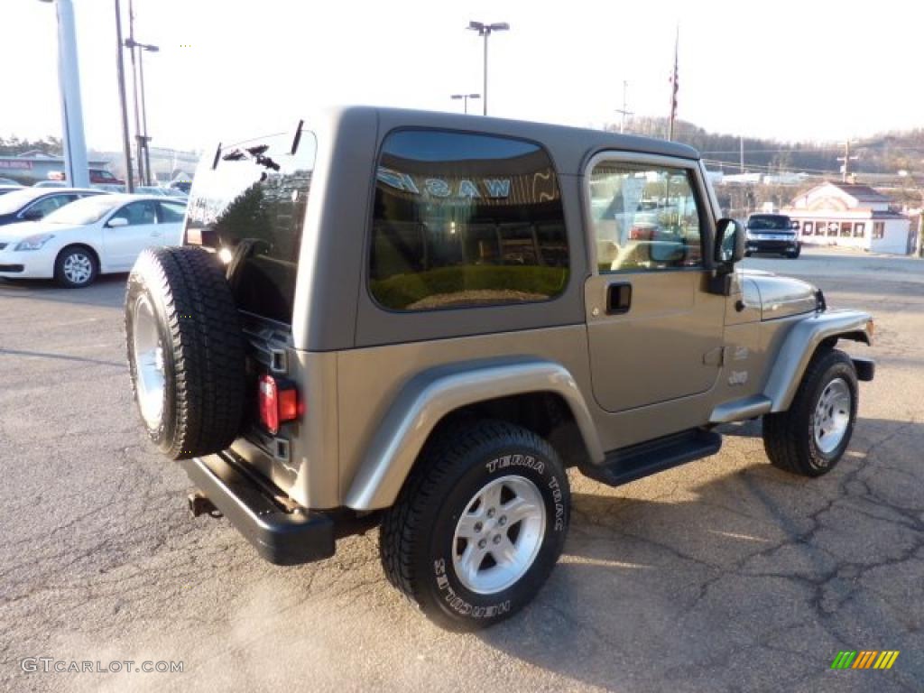 2004 Wrangler Sahara 4x4 - Light Khaki Metallic / Khaki photo #4