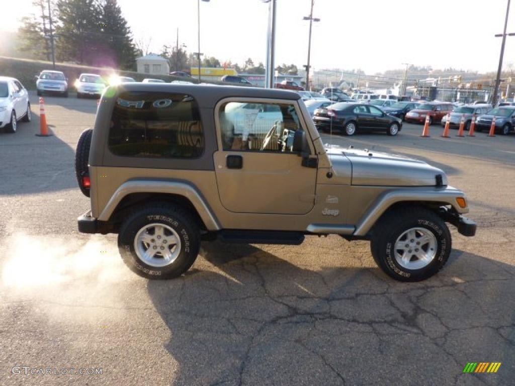 2004 Wrangler Sahara 4x4 - Light Khaki Metallic / Khaki photo #5