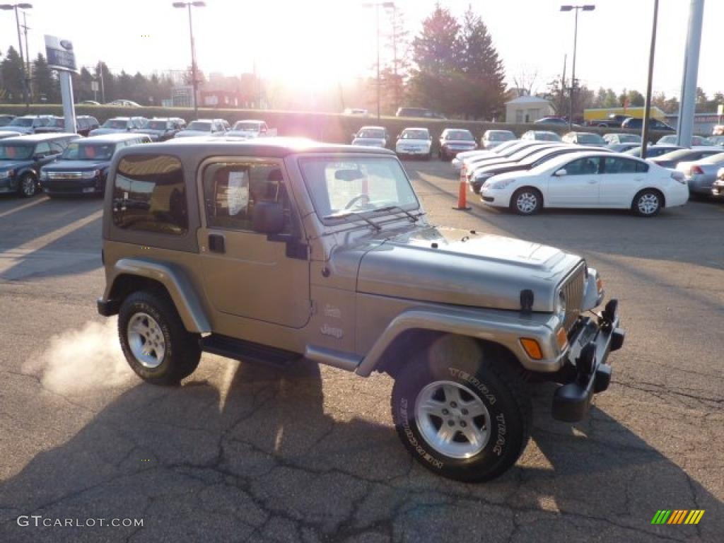 2004 Wrangler Sahara 4x4 - Light Khaki Metallic / Khaki photo #6