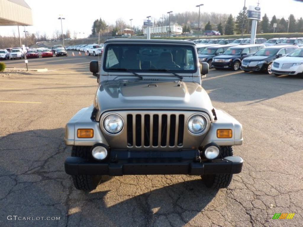2004 Wrangler Sahara 4x4 - Light Khaki Metallic / Khaki photo #7