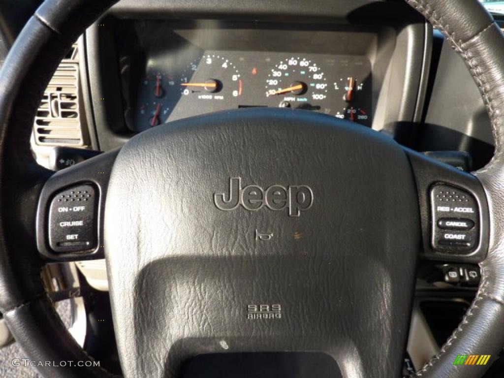 2004 Wrangler Sahara 4x4 - Light Khaki Metallic / Khaki photo #19