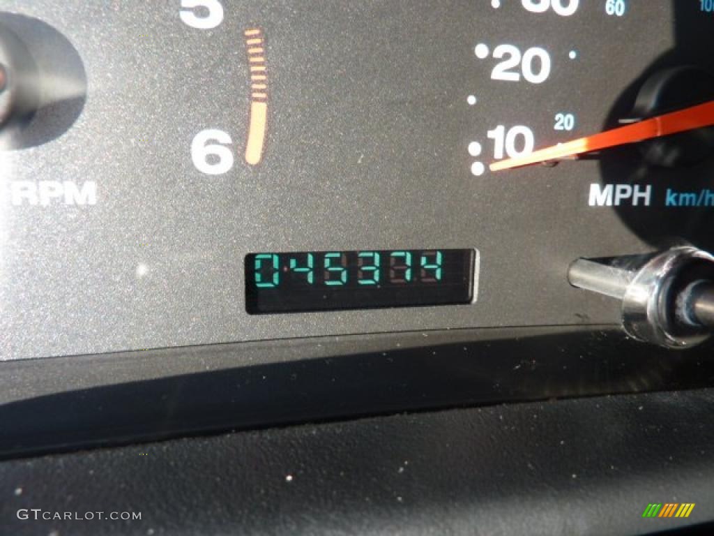 2004 Wrangler Sahara 4x4 - Light Khaki Metallic / Khaki photo #20