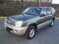 Estate Green Metallic 2004 Mercury Mountaineer AWD