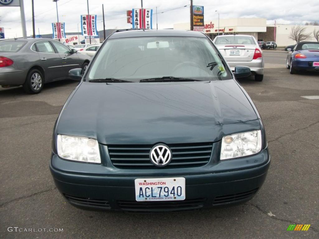 2002 Jetta GL Sedan - Baltic Green / Black photo #2