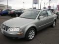 Stonehenge Grey Metallic - Passat GLS Sedan Photo No. 3