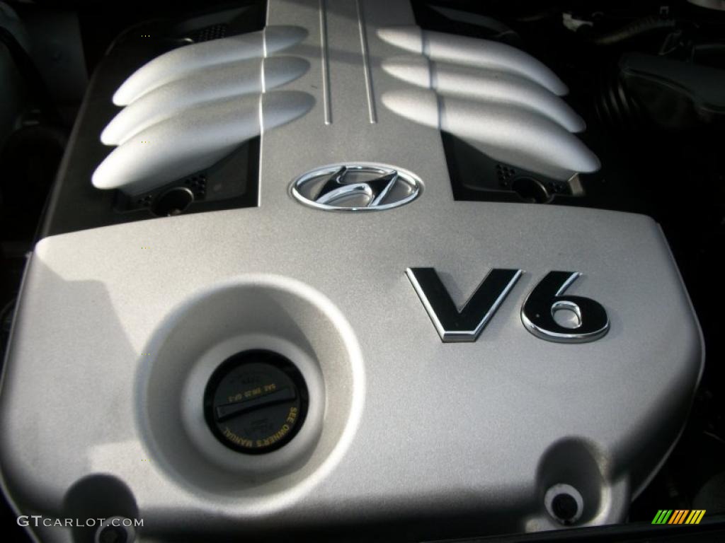 2007 Hyundai Veracruz GLS AWD 3.8 Liter DOHC 24-Valve VVT V6 Engine Photo #47301602