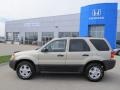 Gold Ash Metallic - Escape XLT V6 4WD Photo No. 2