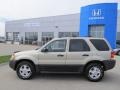 2004 Gold Ash Metallic Ford Escape XLT V6 4WD  photo #2