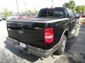 2005 Black Ford F150 King Ranch SuperCrew  photo #16